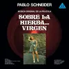PABLO SCHNEIDER – sobre la hierba...virgen (LP Vinyl)