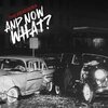 PEACOCKS – and now what? (CD, LP Vinyl)