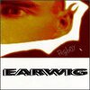 PEGBOY – earwig (CD)