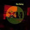 PETE SHELLEY – xl1 (CD, LP Vinyl)