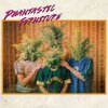 PHANTASTIC FERNITURE – s/t (CD)