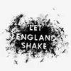 PJ HARVEY – let england shake (CD)