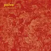 POLVO – today´s active lifestyles (LP Vinyl)