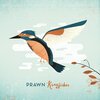PRAWN – kingfisher (LP Vinyl)