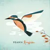 PRAWN – kingfisher (LP Vinyl)