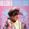 RON SEXSMITH – hangover terrace (CD, LP Vinyl)