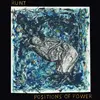 RUNT – positions of power (LP Vinyl)