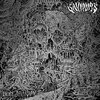 SAVIOURS – palace of vision (CD, LP Vinyl)