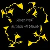 SENSOR GHOST – irritation on demand (LP Vinyl)