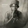 SHABAKA – perceive its beauty, acknowledge its grace (CD, LP Vinyl)