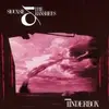 SIOUXSIE AND THE BANSHEES – tinderbox (CD)