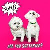 SLAVES – are you satisfied (LP Vinyl)