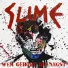 SLIME – wem gehört die angst (CD, LP Vinyl)