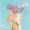SLOTFACE – try not to freak out (CD, LP Vinyl)