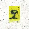 SONGS: OHIA – impala (CD, LP Vinyl)