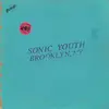 SONIC YOUTH – live in brooklyn 2011 (LP Vinyl)