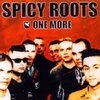 SPICY ROOTS – one more (LP Vinyl)