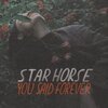 STAR HORSE – you said forever (LP Vinyl)