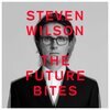 STEVEN WILSON – the future bites (CD, LP Vinyl, Video, DVD)