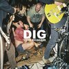 STIFF RICHARDS – dig (LP Vinyl)