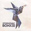 STORNOWAY – bonxie (CD, LP Vinyl)