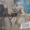 SUGAR HORSE – the grand scheme of things (CD, LP Vinyl)