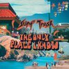 SURF TRASH – the only place i know (LP Vinyl)