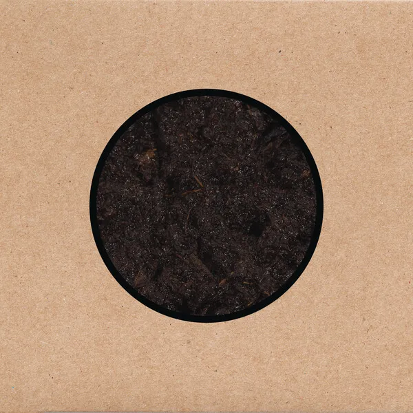 SWANS – birthing (CD, LP Vinyl)