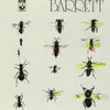 SYD BARRETT – barrett (CD, LP Vinyl)
