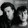 TEARS FOR FEARS – songs from the big chair - 40th anniversary (CD, LP Vinyl)