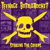 TEENAGE BOTTLEROCKET – stealing the covers (CD, LP Vinyl)