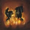 THE BESNARD LAKES – are the dark horse (CD, LP Vinyl)