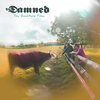THE DAMNED – rockfield files (CD, LP Vinyl)