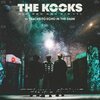 THE KOOKS – 10 tracks to echo in the dark (LP Vinyl)