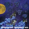 THE MOUNTAIN GOATS – transcendental youth (CD, LP Vinyl)