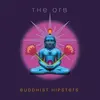 THE ORB – buddhist hipsters (CD, LP Vinyl)