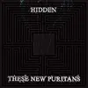 THESE NEW PURITANS – hidden (CD, LP Vinyl)
