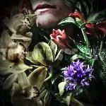 THIS LOVE IS DEADLY – s/t (CD)