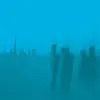 TOUCHE AMORE – is survived by (LP Vinyl)