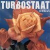 TURBOSTAAT – schwan (LP Vinyl)