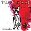 TURBOSTAAT – vormann leiss (LP Vinyl)