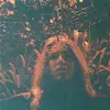 TURNOVER – peripheral vision (10th anniversary) (LP Vinyl)