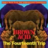 V/A – brown acid: the fourteenth trip (CD, LP Vinyl)