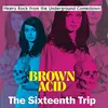 V/A – brown acid: the sixteenth trip (LP Vinyl)