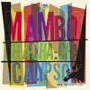 V/A – mambo, cha-cha-cha & calypso vol. 4 (LP Vinyl)