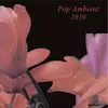 V/A – pop ambient 2010 (CD, LP Vinyl)