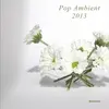 V/A – pop ambient 2013 (CD)