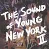V/A – sound of young new york 2 (LP Vinyl)