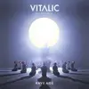 VITALIC – rave age (LP Vinyl)