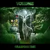 VOKONIS – grasping time (CD, LP Vinyl)
